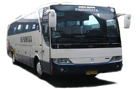 45 seater